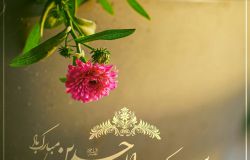 تبریک میلاد امام سجاد علیه السلام